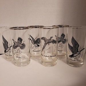 6 Vintage MCM Federal Glass Wild Game Bird Highball Glasses Silver Rim Sportsman